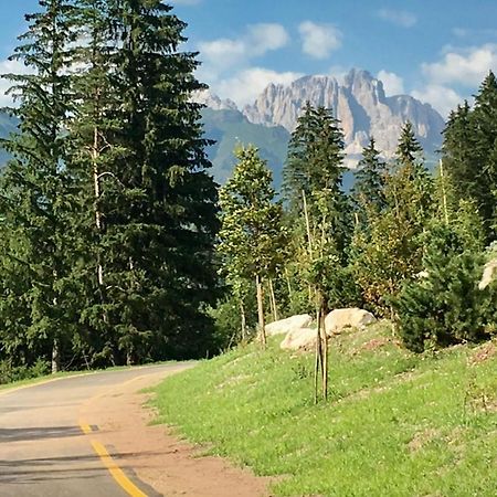 Garni Villa Elsa Pozza di Fassa Ngoại thất bức ảnh
