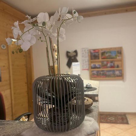 Garni Villa Elsa Pozza di Fassa Ngoại thất bức ảnh