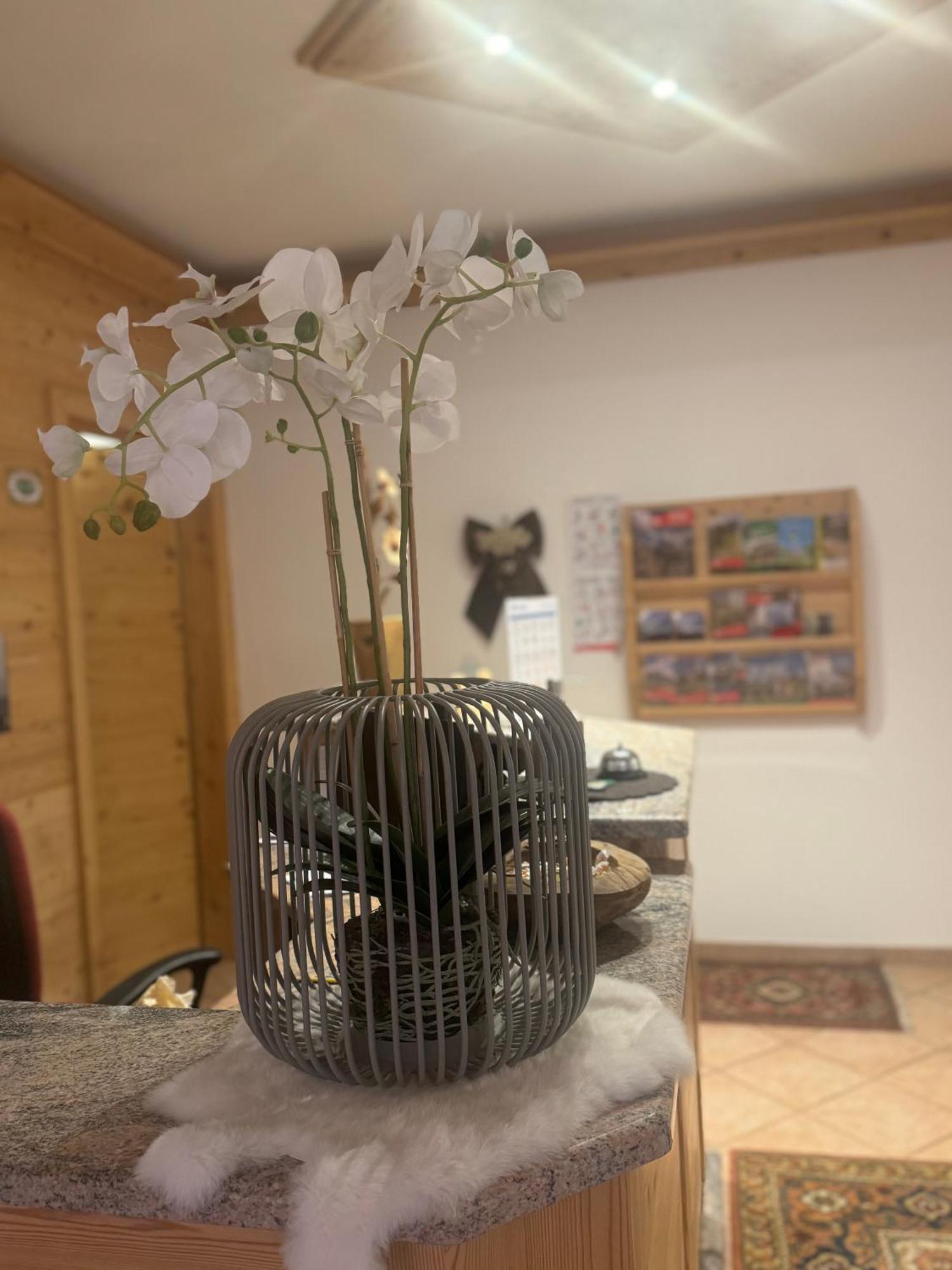 Garni Villa Elsa Pozza di Fassa Ngoại thất bức ảnh